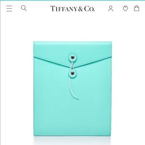Tiffany & Co interoffice envelope brand new blue